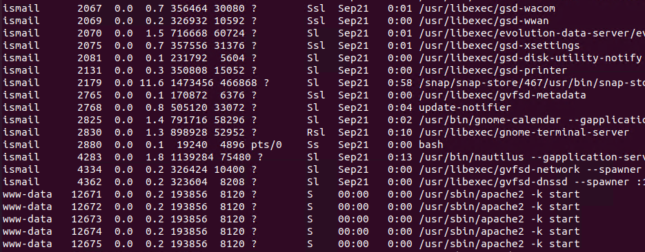 linux-kill-command-tutorial-linuxtect