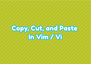 Copy, Cut, and Paste In Vim / Vi – LinuxTect