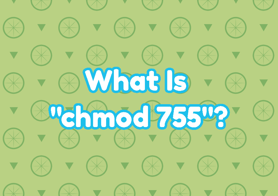 What Is "chmod 755" and How To Use It?