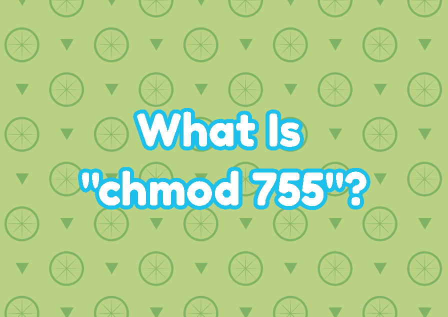 What Is Chmod 755 And How To Use It Linuxtect