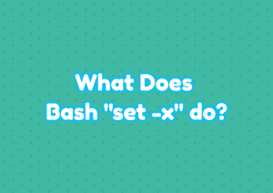 What Does Bash "set -x" do?