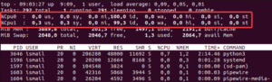 Check and Sort CPU Usage with Top Command In Linux – LinuxTect